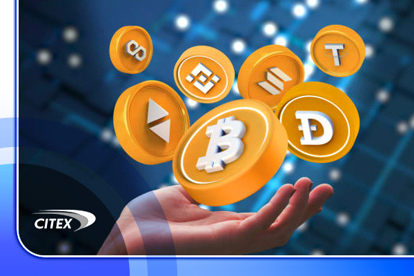 سیتکس کپیتال ( Citex Capital )